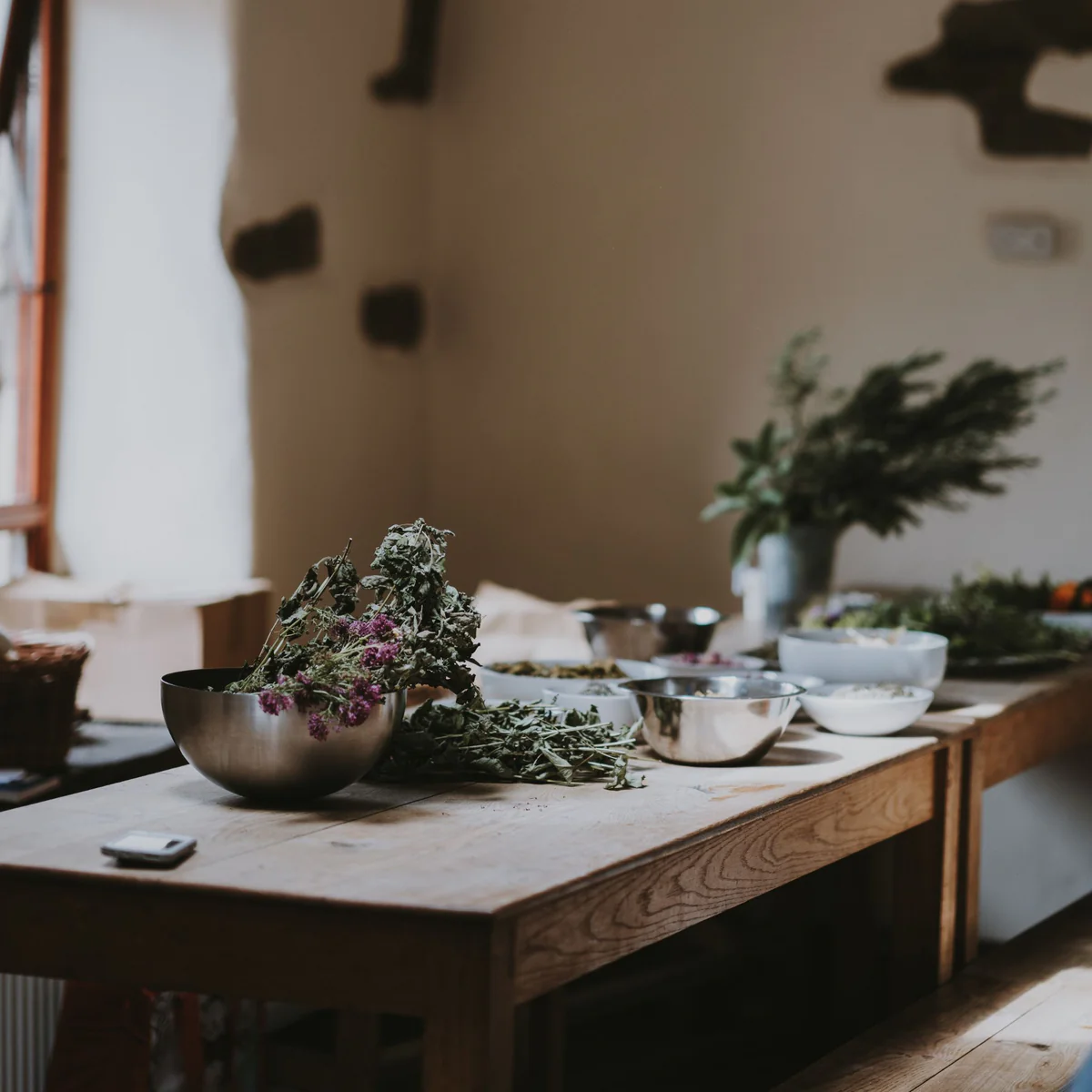 Bæredygtig voks. Bedre indeklima.