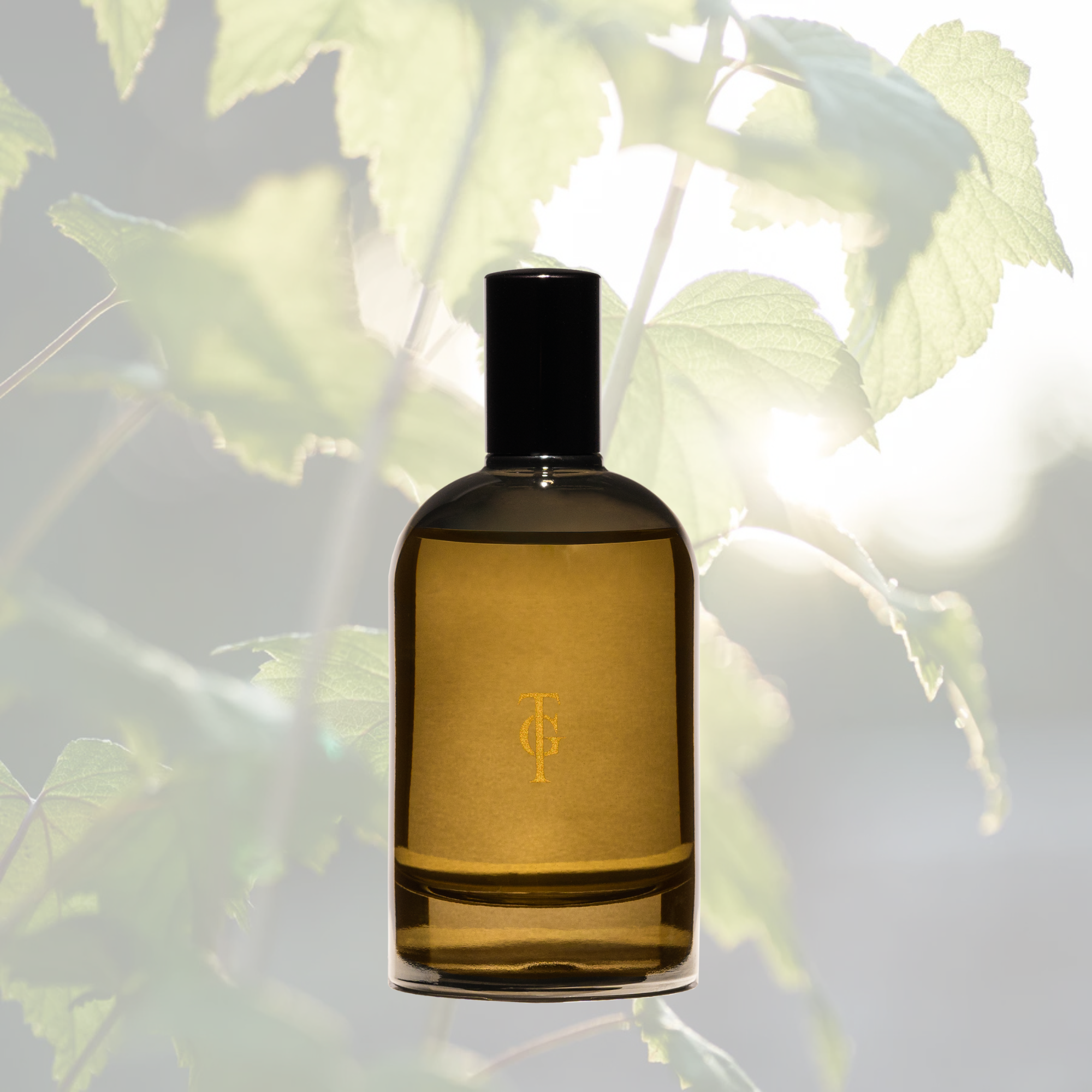 Room Spray - Blackcurrant Leaves